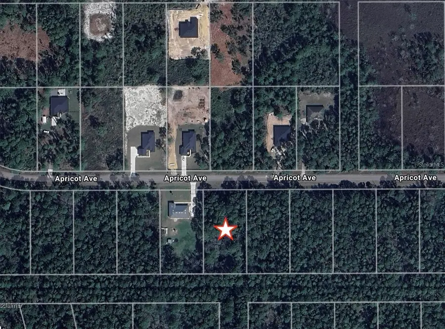 Apricot Avenue, Eustis, FL 32736 - #2