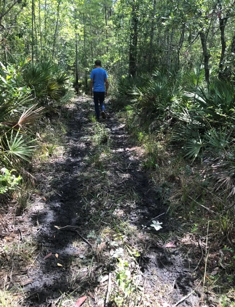 2449 Old Train Road, Deltona, FL 32738 - #1