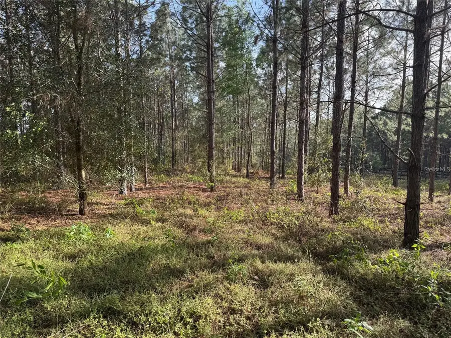 State Road 44, Eustis, FL 32726 - #3