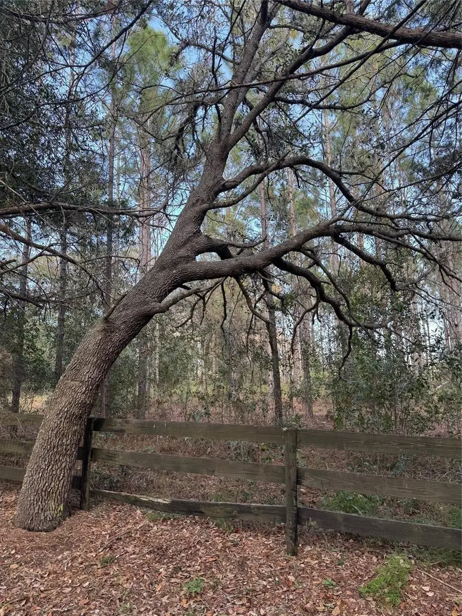 State Road 44, Eustis, FL 32726 - #3