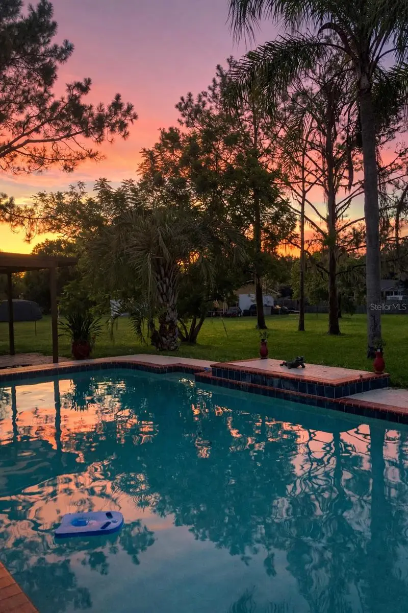 31639 Stirrup Lane, Wesley Chapel, FL 33543 - #3