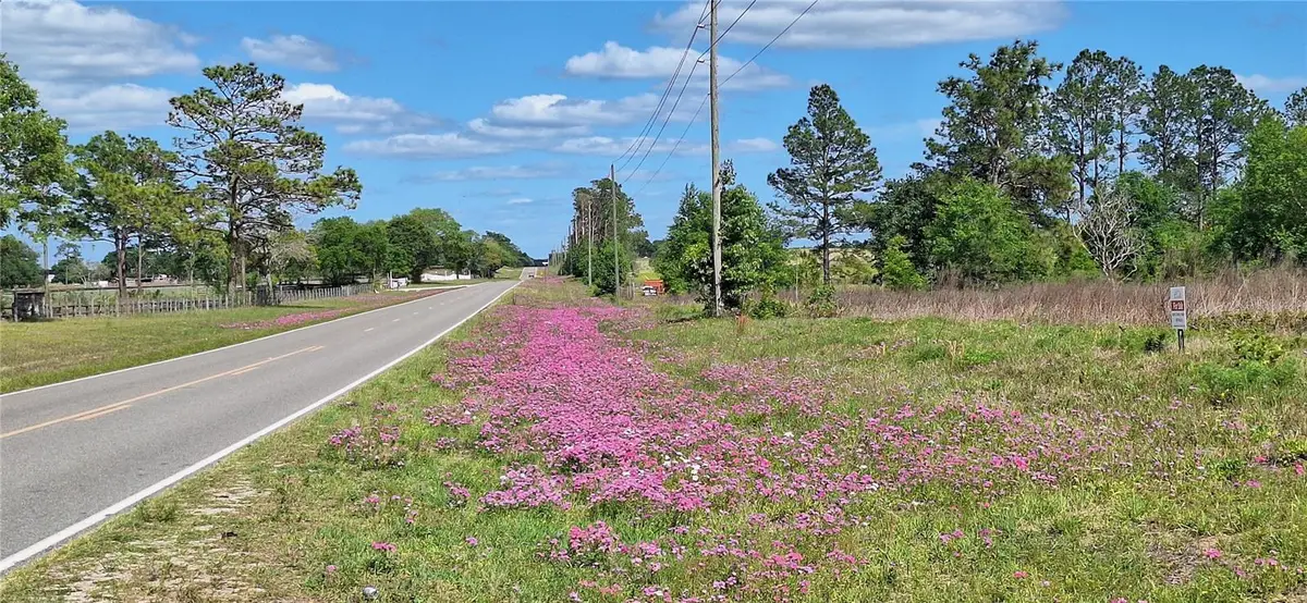 Se 60th Street, Morriston, FL 32668 - #1