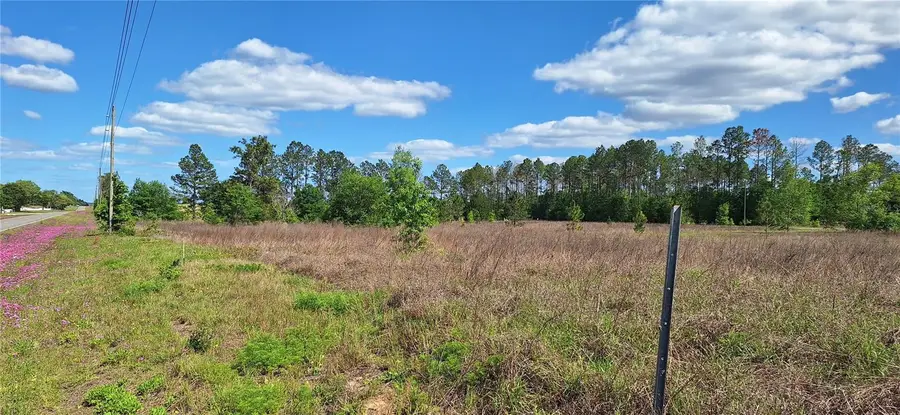 Se 60th Street, Morriston, FL 32668 - #3