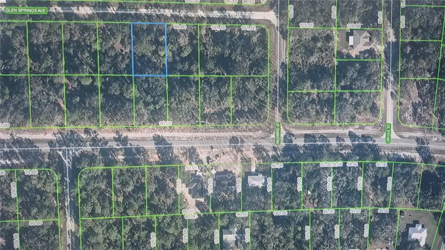 3216 Glen Springs Avenue, Lake Placid, FL 33852 - #2