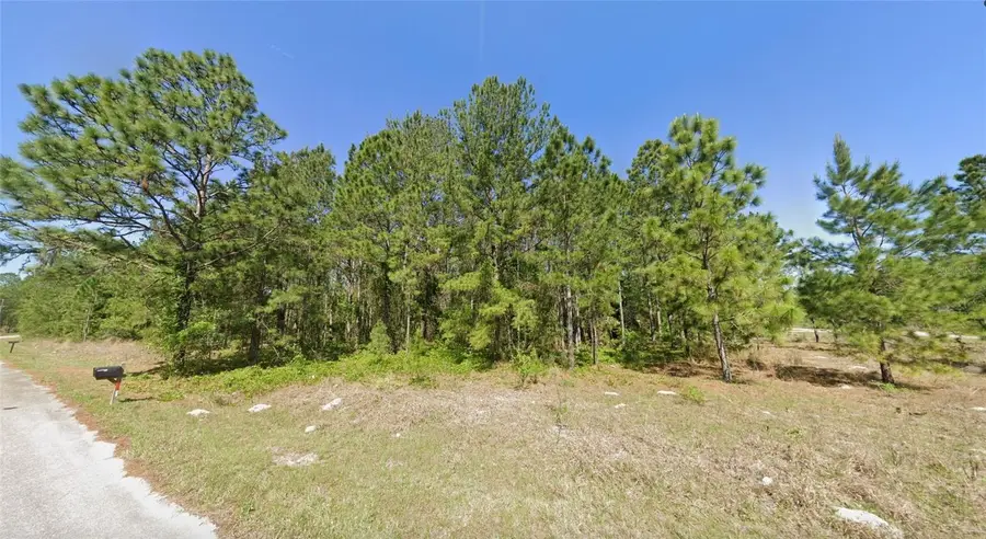 33 Sequoia Drive Lane, Ocklawaha, FL 32179 - #2