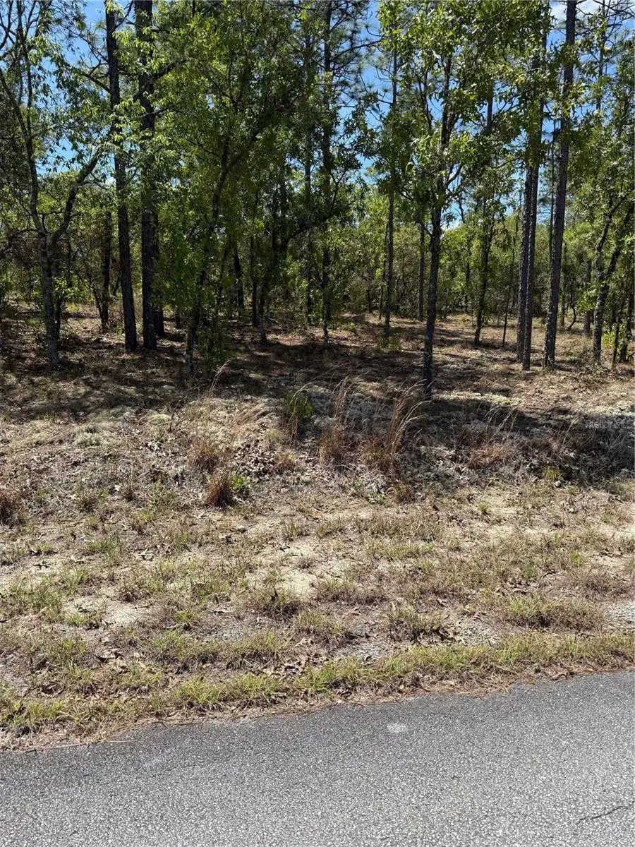 LOT# 8 SW Mineola Lane, Dunnellon, FL 34431 - #1