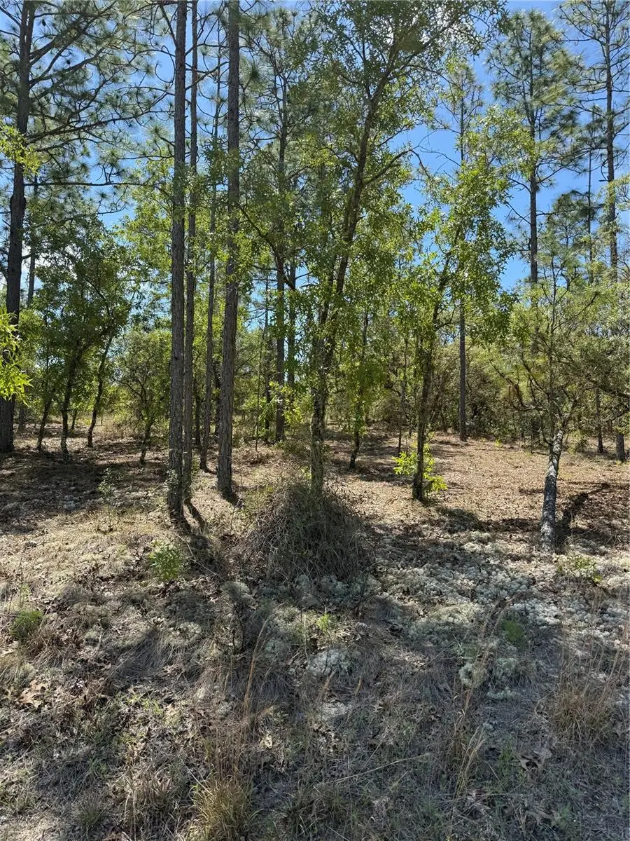LOT# 8 SW Mineola Lane, Dunnellon, FL 34431 - #2