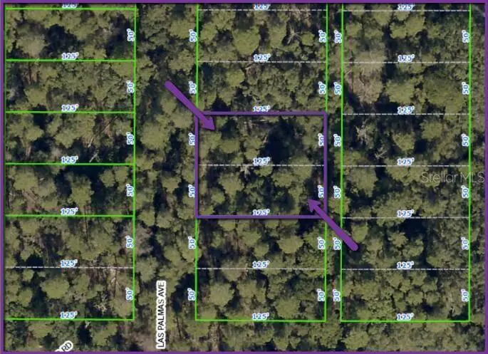 0 Las Palmas Avenue #lot 11 & 12, Spring Hill, FL 34606 - #1