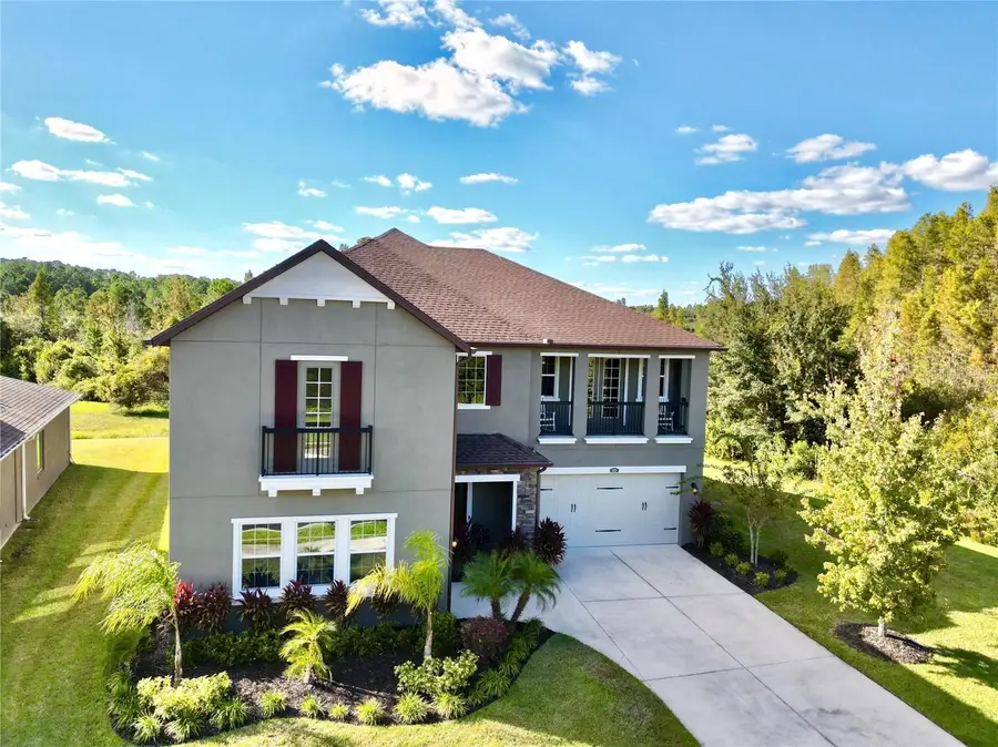 1879 Whitewillow Drive, Wesley Chapel, FL 33543 - #3