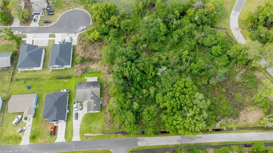 Hickman Avenue, Plant City, FL 33563 - #3