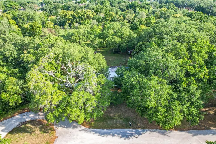 821 Irene Drive, Auburndale, FL 33823 - #3