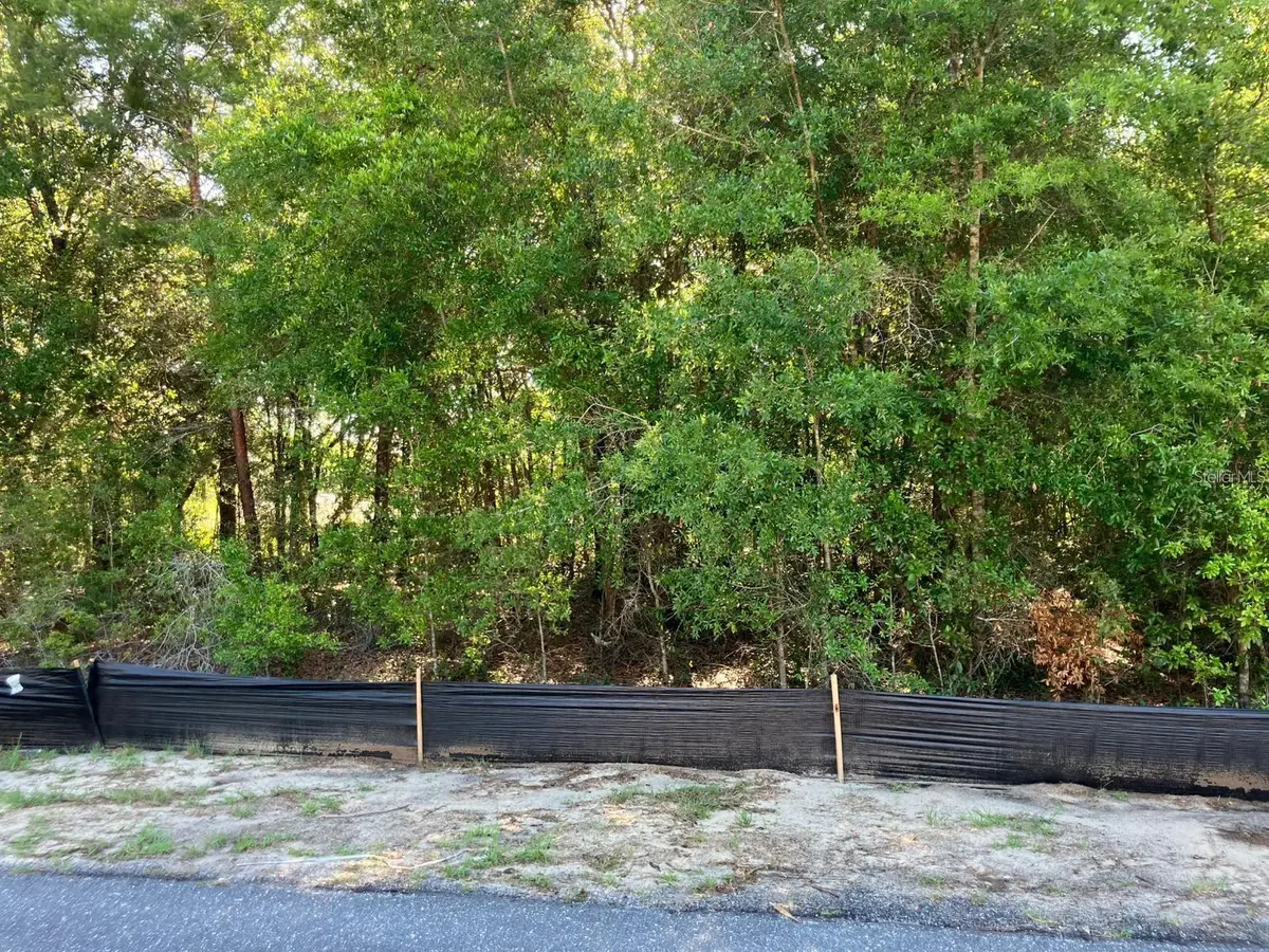 8227 N Galena Avenue, Citrus Springs, FL 34434 - #1