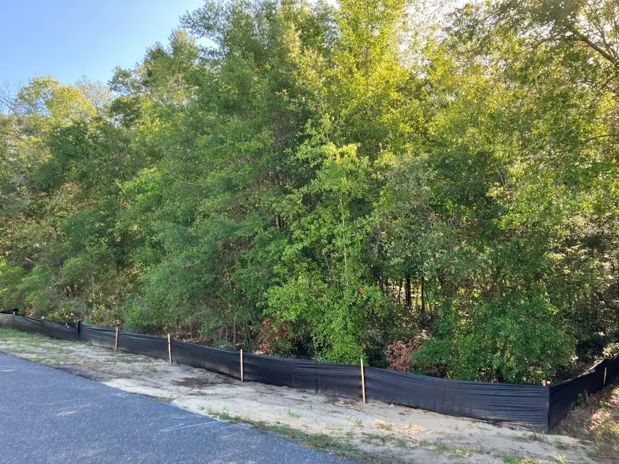 8227 N Galena Avenue, Citrus Springs, FL 34434 - #2