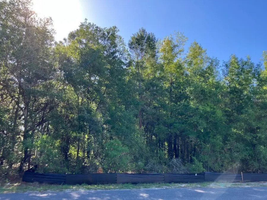 8227 N Galena Avenue, Citrus Springs, FL 34434 - #3