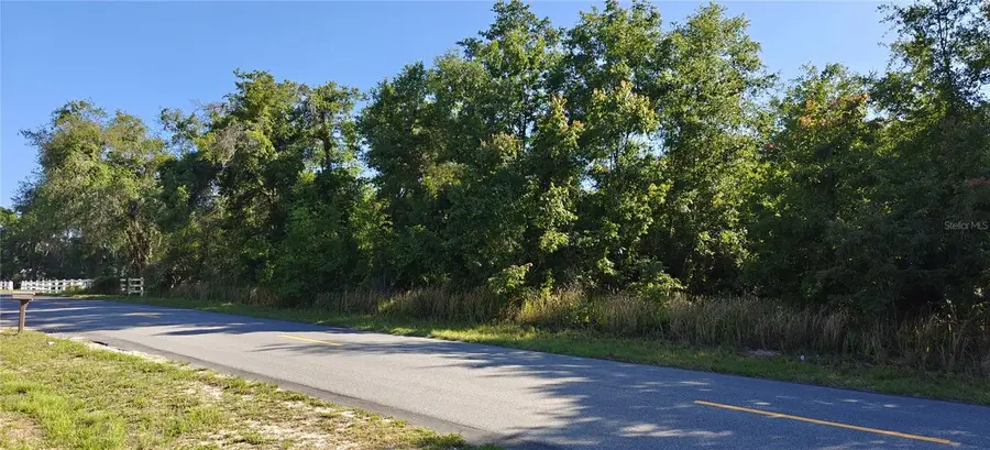 Lot 114 N Goodman Road, Kissimmee, FL 34747 - #2
