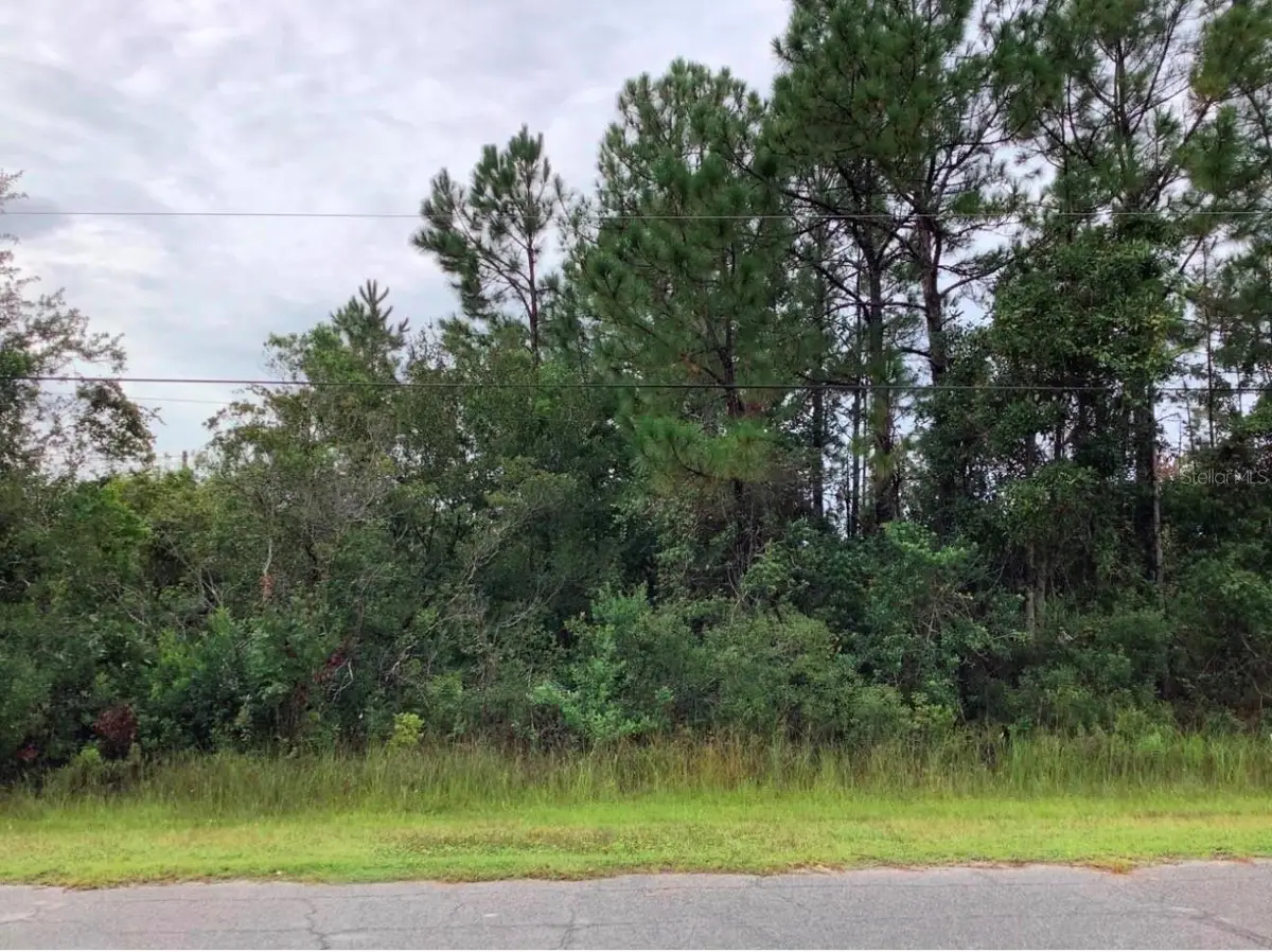 Odham Street, Orlando, FL 32833 - #1