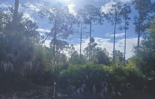 1302 Willard Avenue, Lehigh Acres, FL 33972 - #2