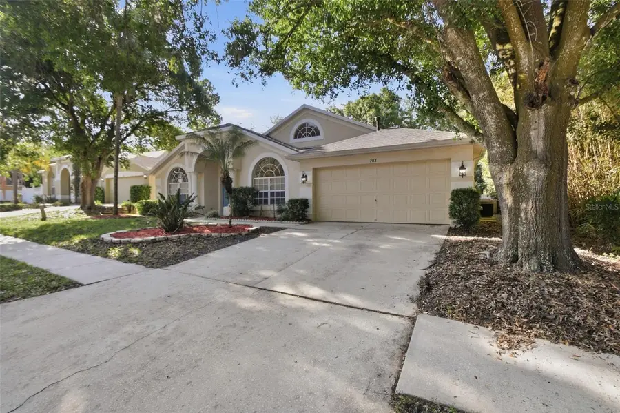 703 Grand Canyon Drive, Valrico, FL 33594 - #3