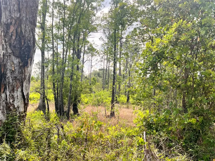 Banyan Street #Unit No. 1, Eustis, FL 32736 - #2