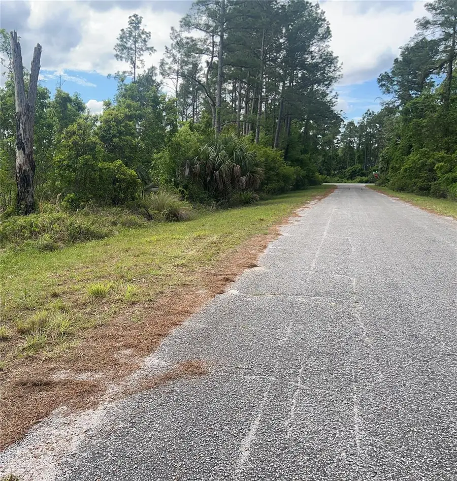 Banyan Street #Unit No. 1, Eustis, FL 32736 - #3