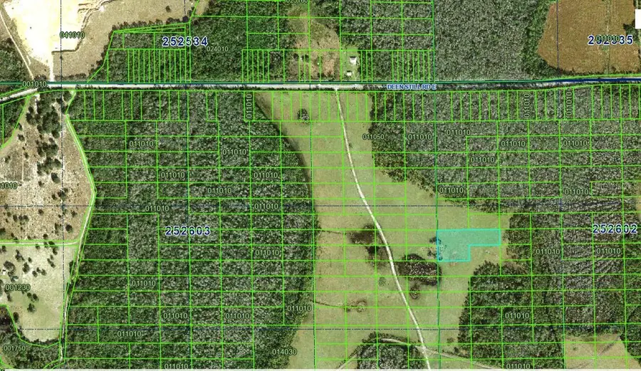 Deen Still Road E, Polk City, FL 33868 - #2