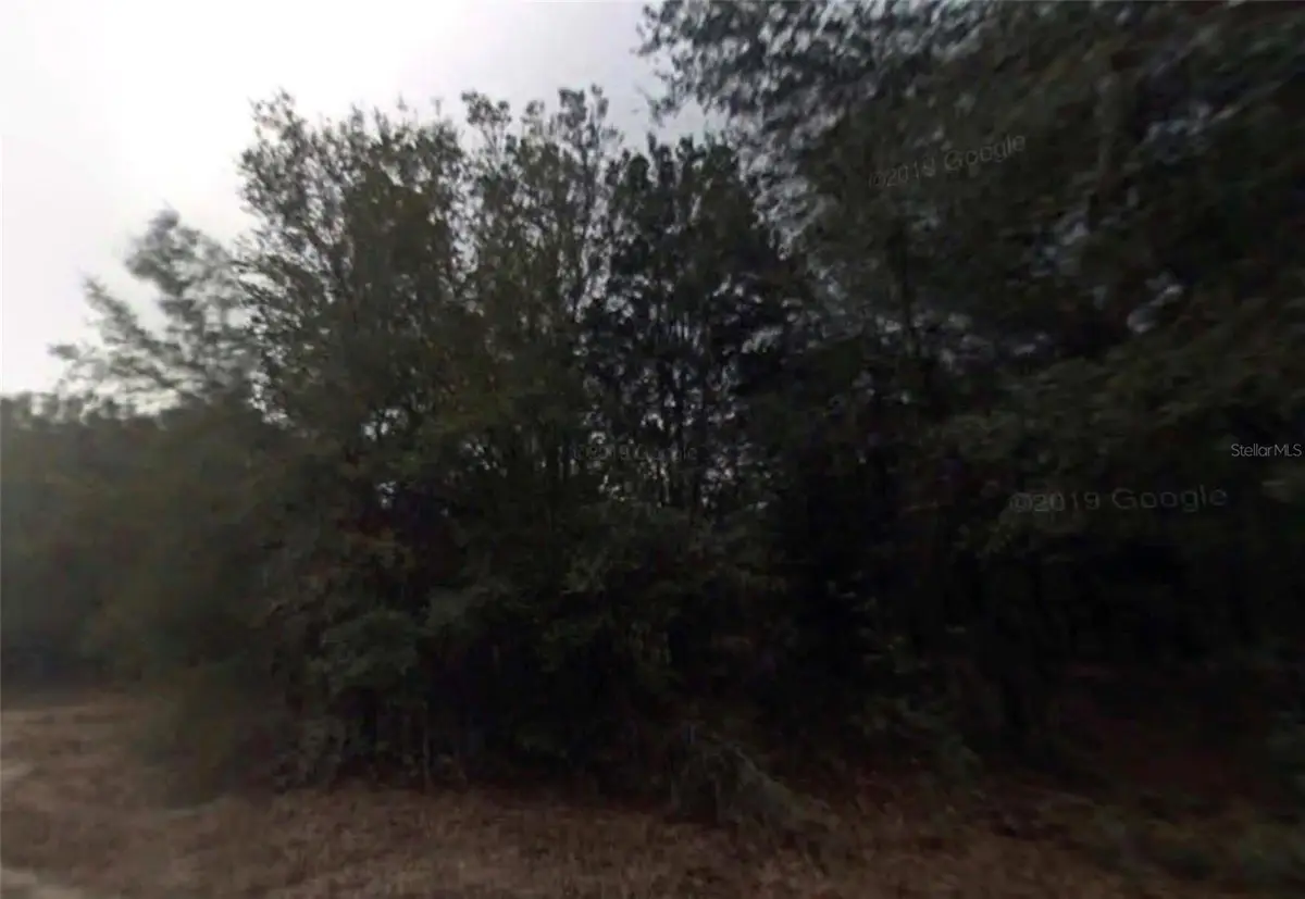 614 Longwood Avenue, Inverness, FL 34453 - #1