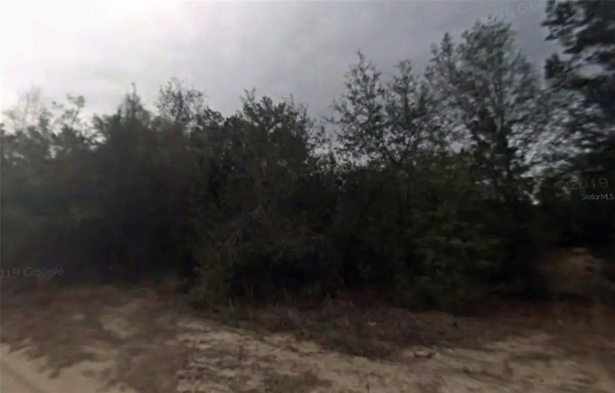 702 Longwood Avenue, Inverness, FL 34453 - #1