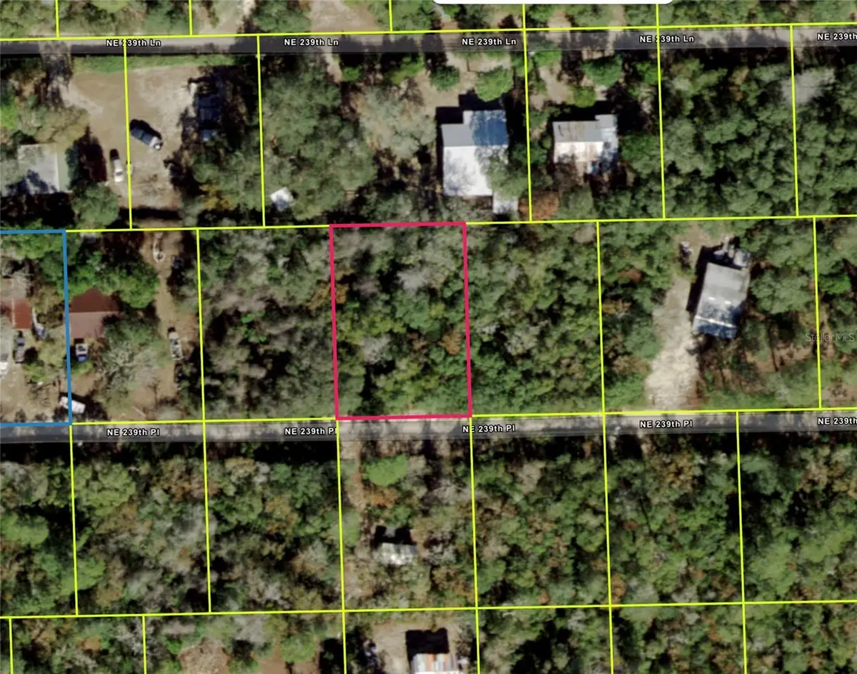 Ne 239th Pl, Fort McCoy, FL 32134 - #1