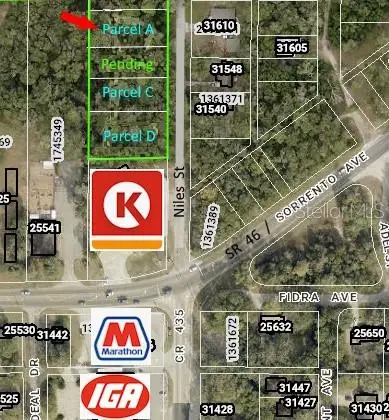 31595 Niles Street, MOUNT PLYMOUTH, FL 32776