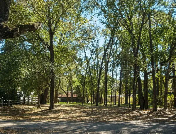 820 E Magnolia Drive, ALTAMONTE SPRINGS, FL 32701