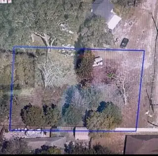 2668 Orange Branch Road, Eustis, FL 32726 - #3