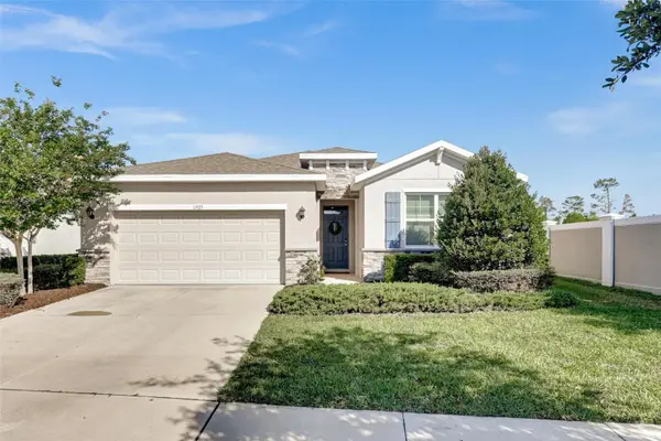 11925 Cross Vine Drive, RIVERVIEW, FL 33579
