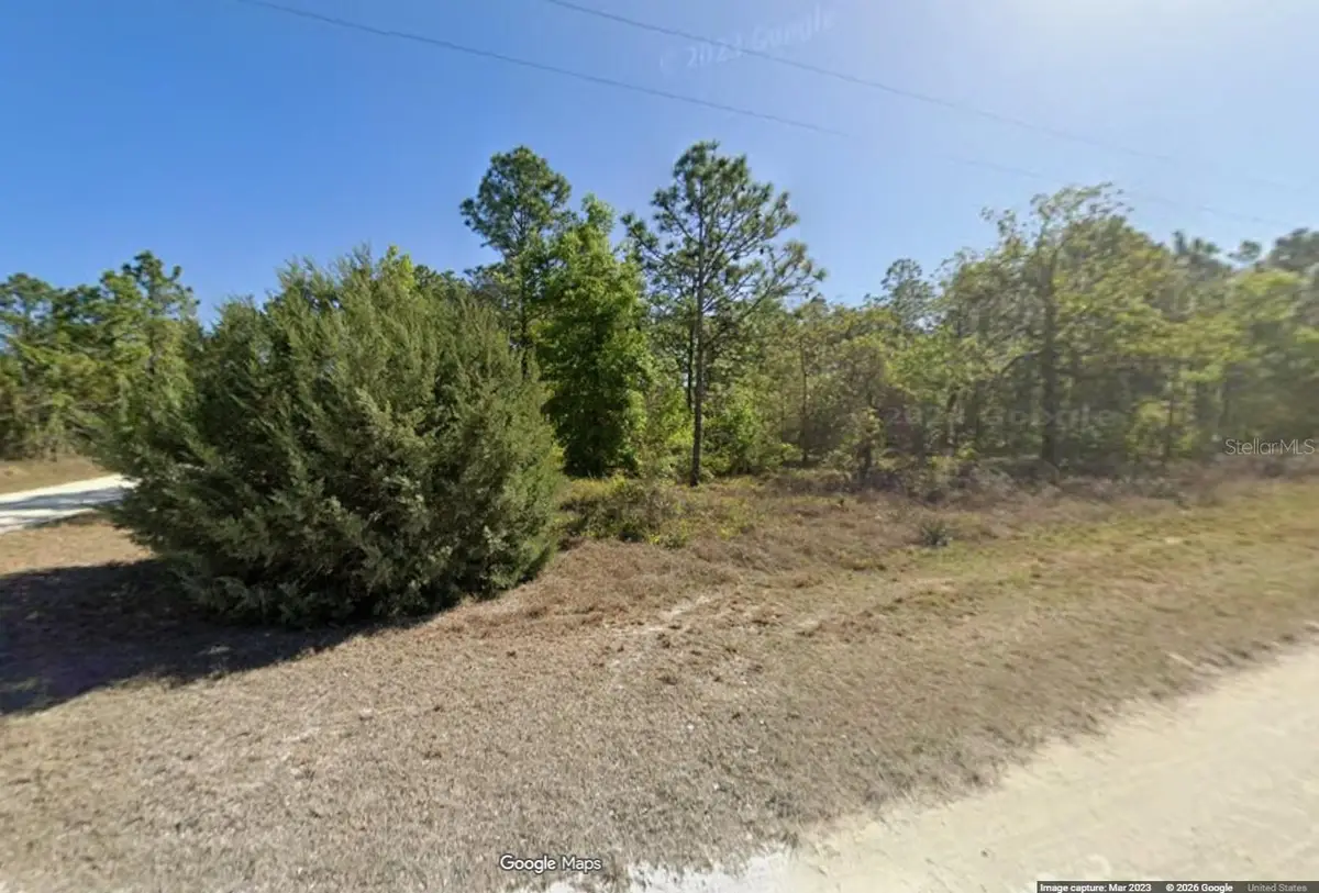 15470 Cave Swallow Road, Brooksville, FL 34614 - #1
