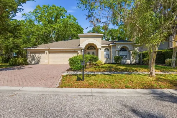 4745 Patagonia Place, LAND O LAKES, FL 34638