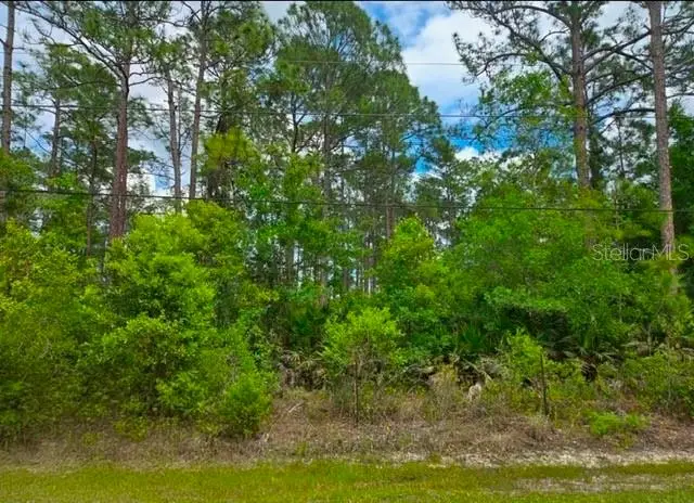 1747 Candleberry Street, Bunnell, FL 32110 - #1
