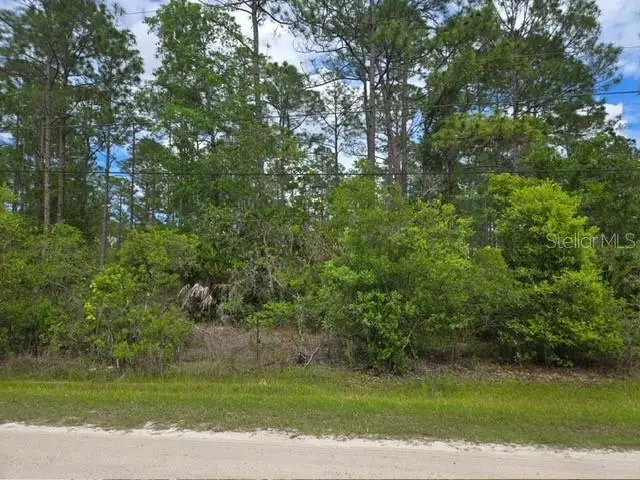 1747 Candleberry Street, Bunnell, FL 32110 - #2