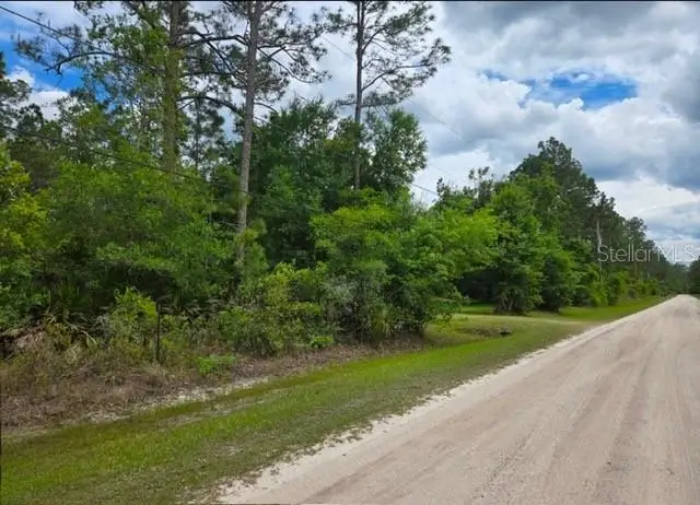 1747 Candleberry Street, Bunnell, FL 32110 - #3
