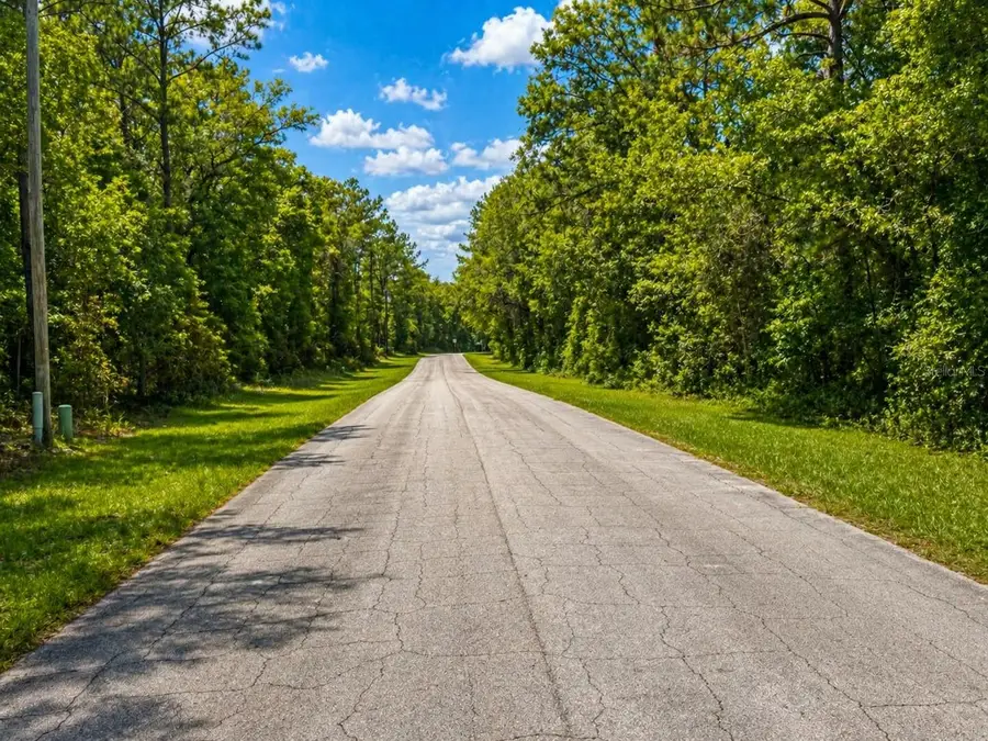 361 E Elgrove Drive, Citrus Springs, FL 34434 - #3