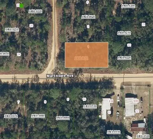 Lot 1 Martinedale Avenue, INTERLACHEN, FL 32148