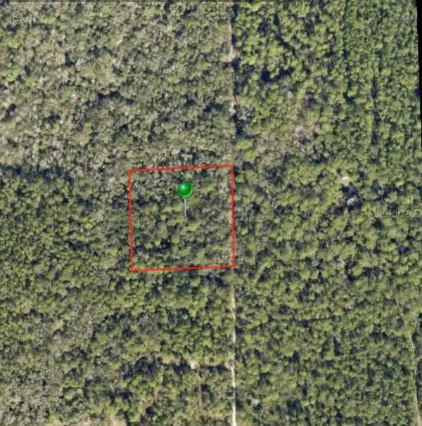 Lake Harney Road, OSTEEN, FL 32764