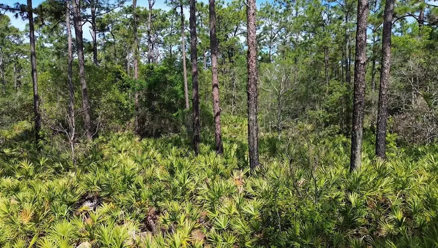 S Apopka Vineland Road, Orlando, FL 32821 - #2