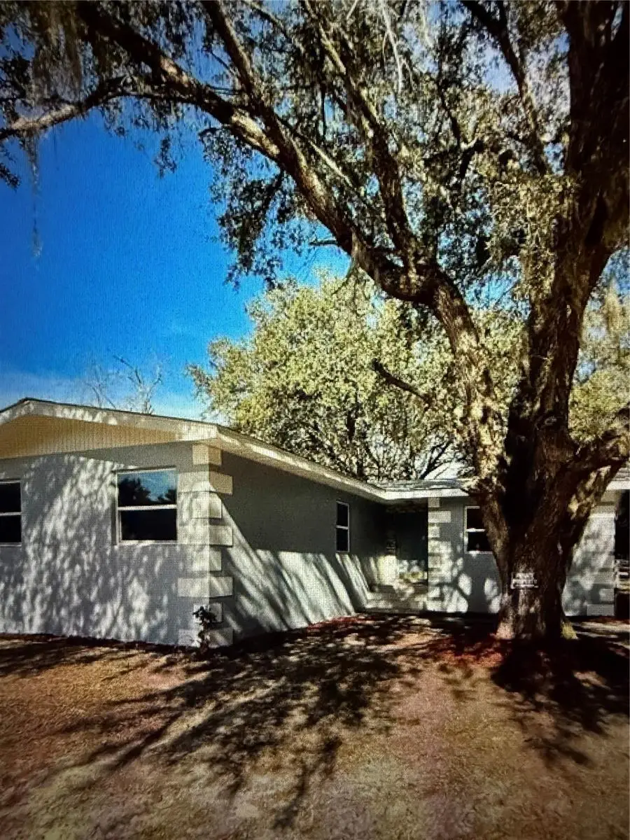 14061 SE 117th Place, Ocklawaha, FL 32179 - #1