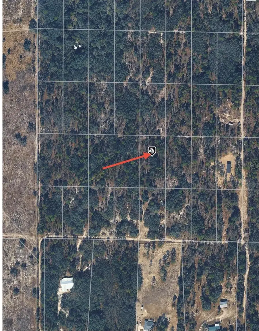 SE 64th Place, Morriston, FL 32668 - #2