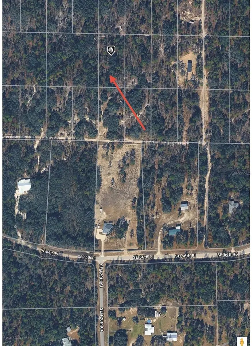 SE 64th Place, Morriston, FL 32668 - #3