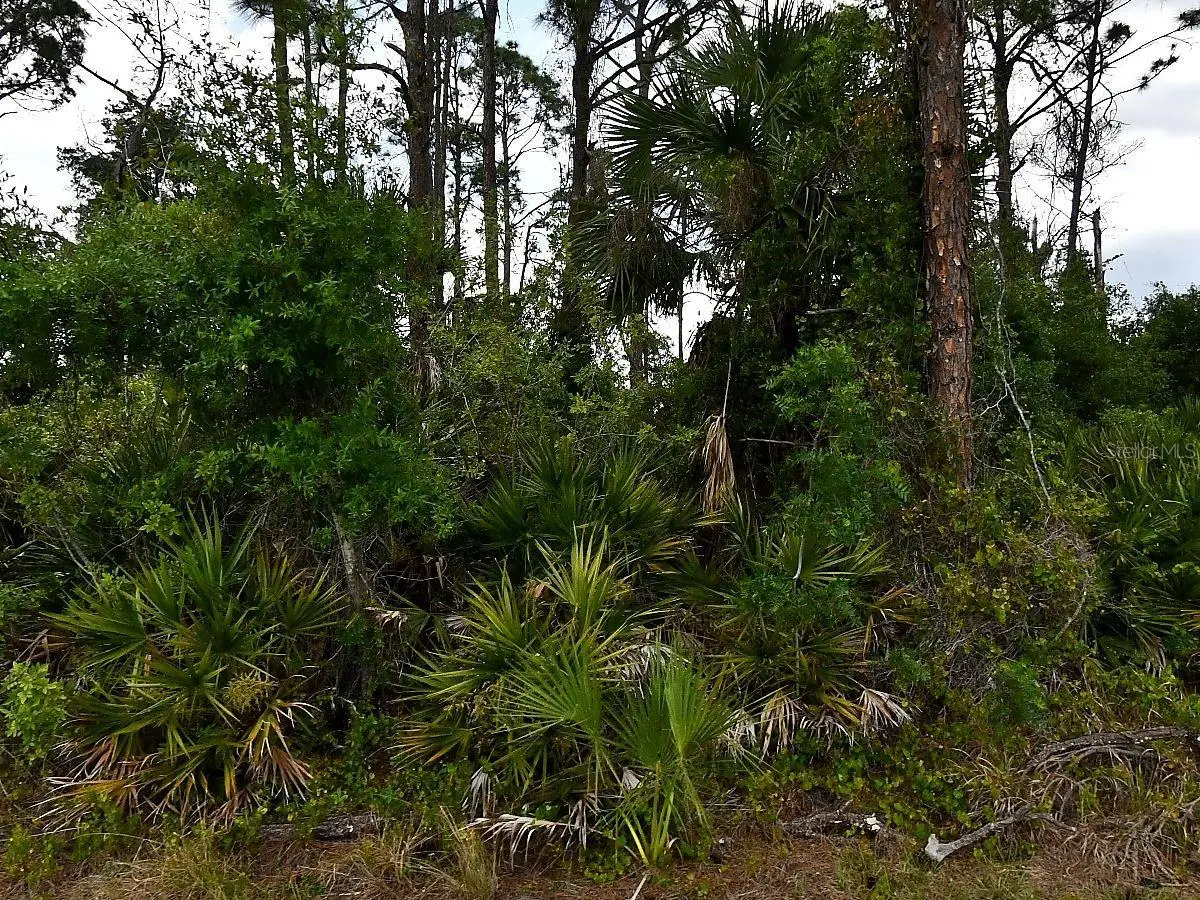 Geloso Avenue, North Port, FL 34288 - #1