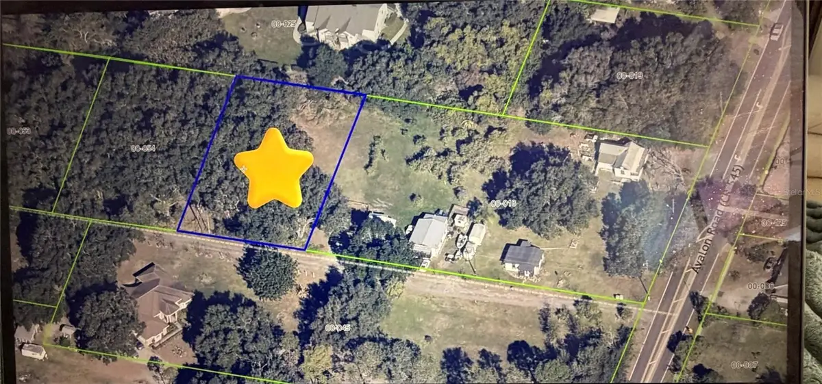 Avalon Road, Winter Garden, FL 34787 - #1