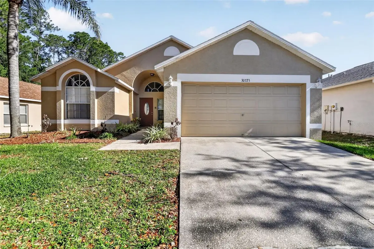 30723 Birdhouse Drive, Wesley Chapel, FL 33545 - #1