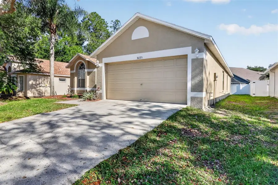 30723 Birdhouse Drive, Wesley Chapel, FL 33545 - #2