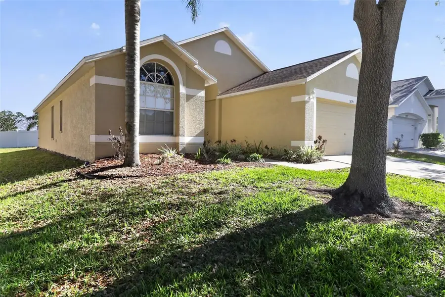 30723 Birdhouse Drive, Wesley Chapel, FL 33545 - #3