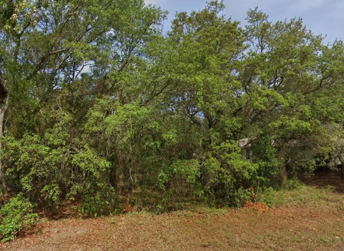 4 Honeysuckle Court N, Homosassa, FL 34446 - #1